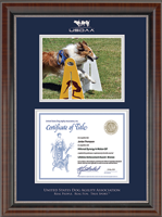 U.S. Dog Agility Association certificate frame - Silver Embossed Agility Certificate & 8'x10' Photo Frame in Chateau