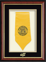 Wichita State University stole frame - Commemorative Stole Shadow Box Frame in Southport Gold