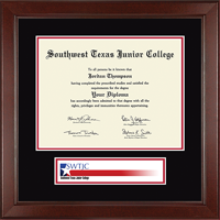 University of South Florida diploma frame - Lasting Memories Banner Diploma Frame in Sierra