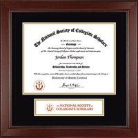 The National Society of Collegiate Scholars certificate frame - Lasting Memories Banner Certificate Frame in Sierra