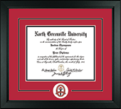 North Greenville University diploma frame - Lasting Memories Circle Logo Diploma Frame in Arena