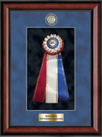 American Kennel Club award frame - AKC Rosette Award Shadow Box Frame in Southport