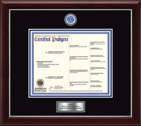American Kennel Club certificate frame - Masterpiece Medallion Pedigree Frame in Gallery Silver