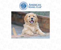 American Kennel Club photo frame - AKC Spectrum Pattern Photo Frame in Expo White
