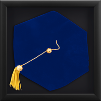 Shadow Box Frames doctoral grad cap shadow box frame - Doctoral Tam Shadow Box Frame in Obsidian