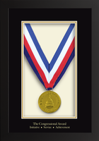 The Congressional Award medal frame - Gold Medal Frame in Stealth