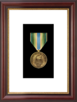 United States Air Force medal frame - Armed Forces Service Medal Frame in Newport