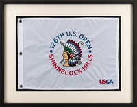 Golf Memorabilia Frames 14x20 golf flag frame - 14' x 20' Golf Pin Flag Frame in Gotham