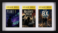 Broadway Playbills Frames Theater Bill frame - Triple Theater Bill Frame in Gotham
